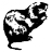 Community Image