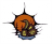 Community Image